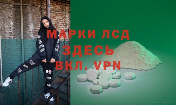 крисы Алзамай