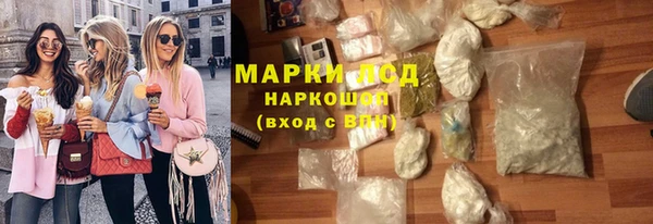 индика Абаза