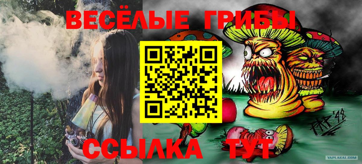 Псилоцибиновые грибы Magic Shrooms  Вход с VPN  Кизилюрт 