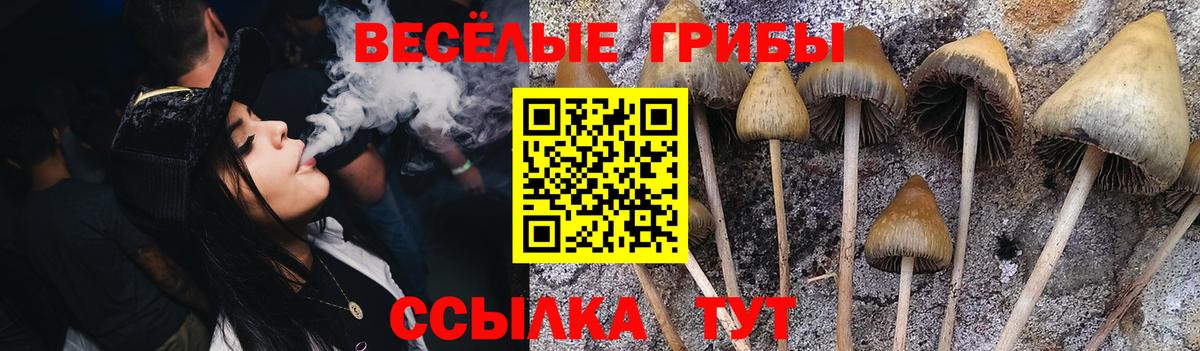 Галлюциногенные грибы мицелий Кизилюрт
